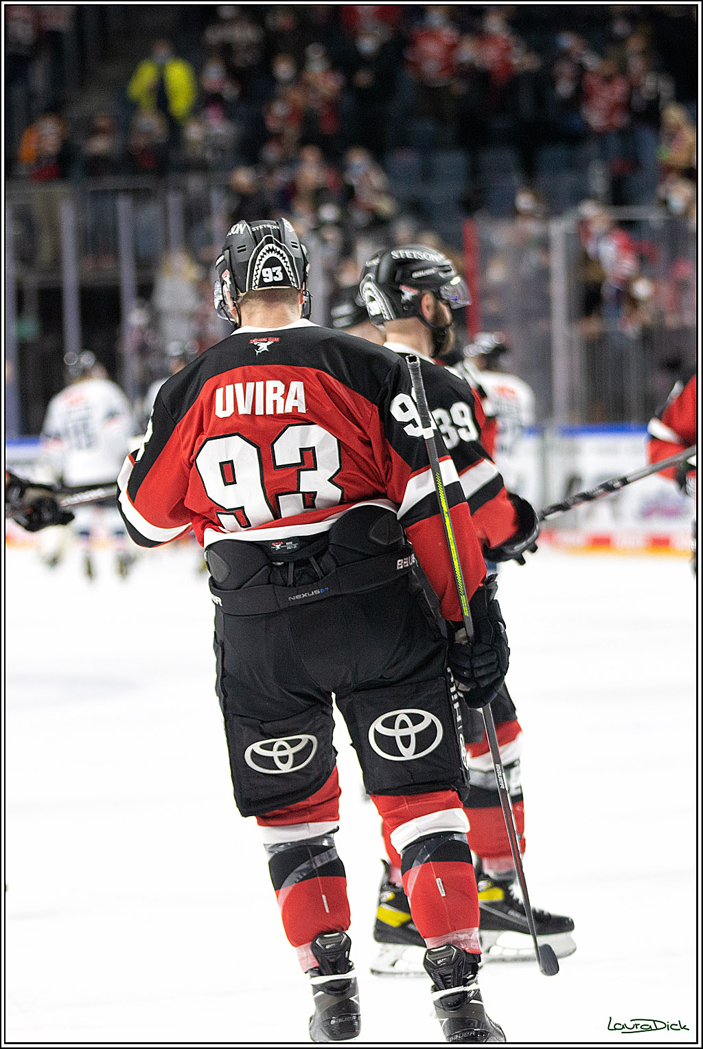 PENNY DEL; Koelner Haie- Nuernberg Ice Tigers; Koeln, 03.12.2021